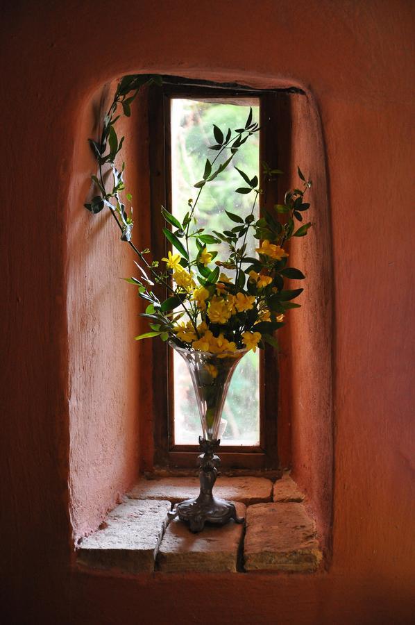 Villa Domenicale Agios Markos Exterior photo