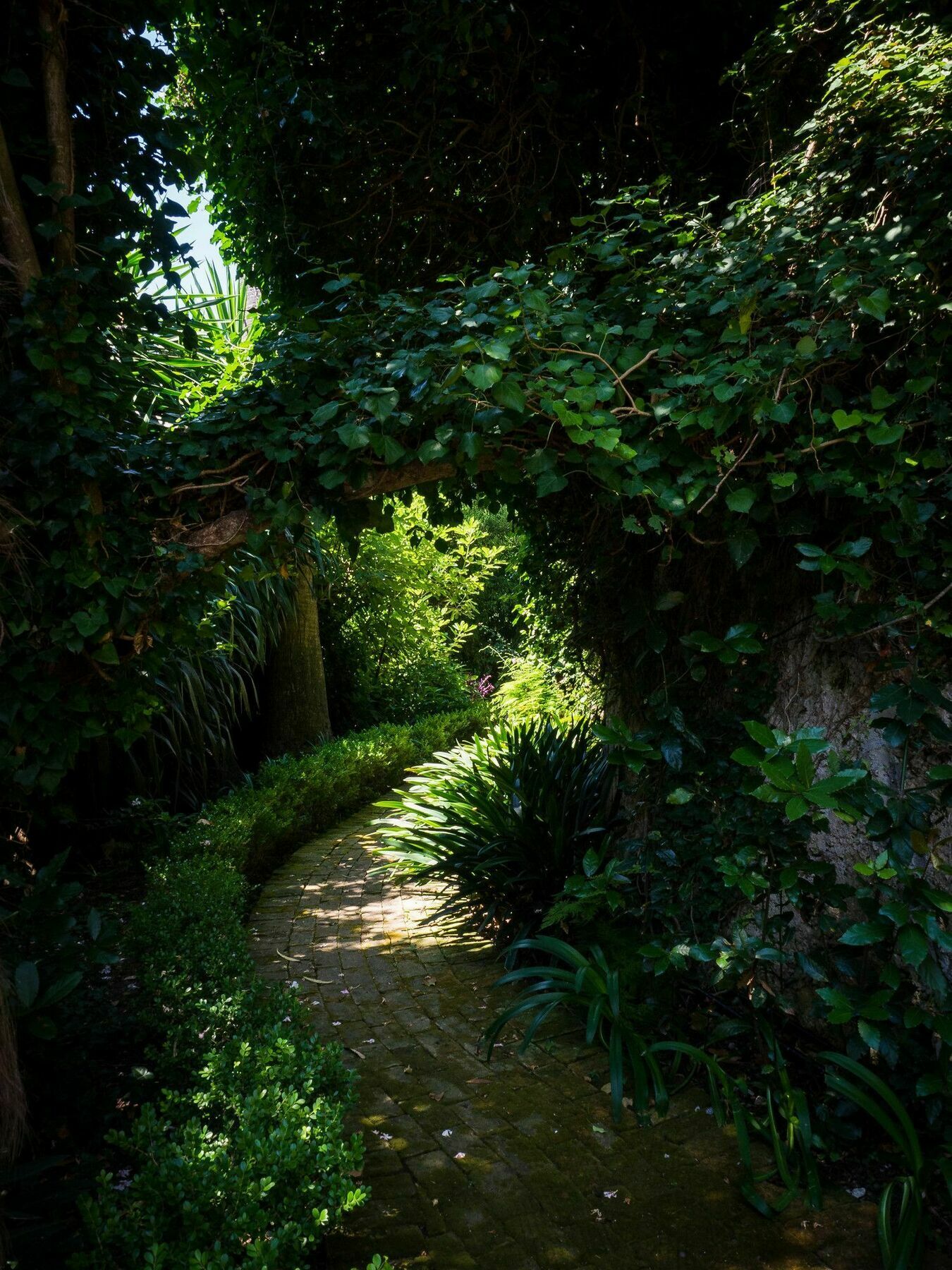 Villa Domenicale Agios Markos Exterior photo